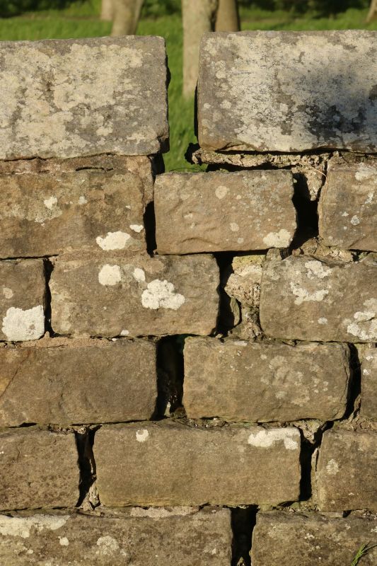 Stone Wall Repair in San Marcos, CA